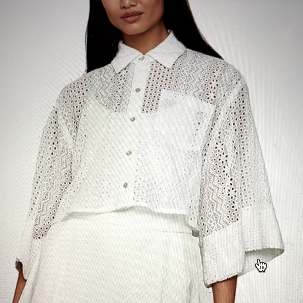 BCBGMaxAzria sheer button-down crop top